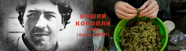 МДПВ Белокуриха