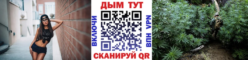 сколько стоит  Кохма  нарко площадка официальный сайт  МАРИХУАНА THC 21% 